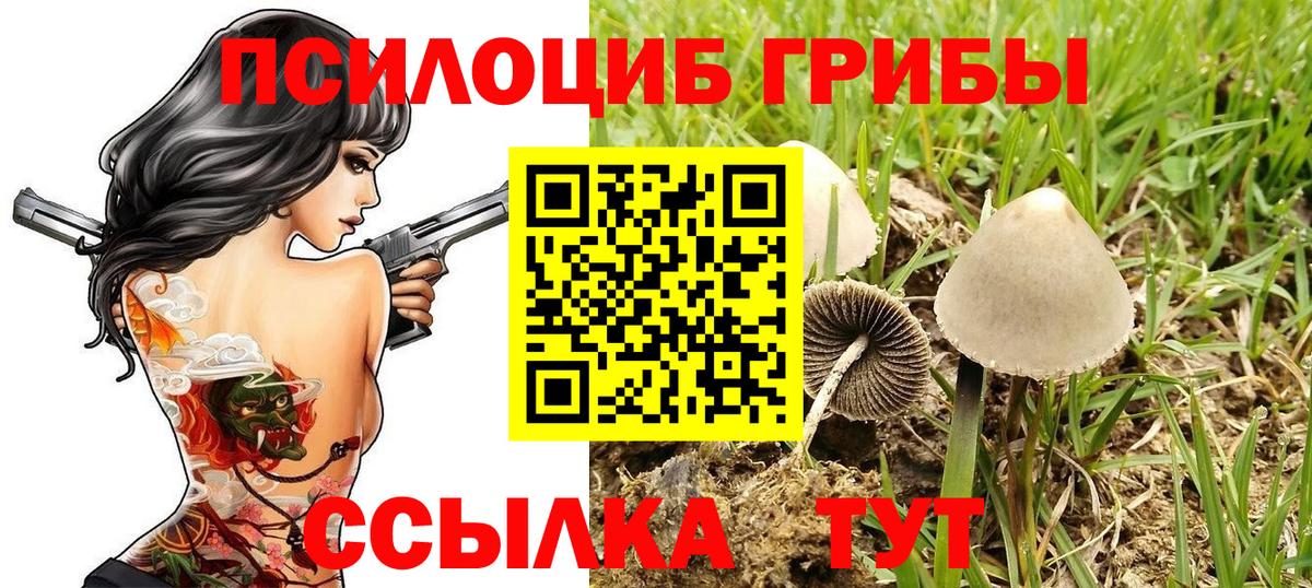 Галлюциногенные грибы Psilocybe  Вход с VPN  Псилоцибиновые грибы GOLDEN TEACHER  Керчь 